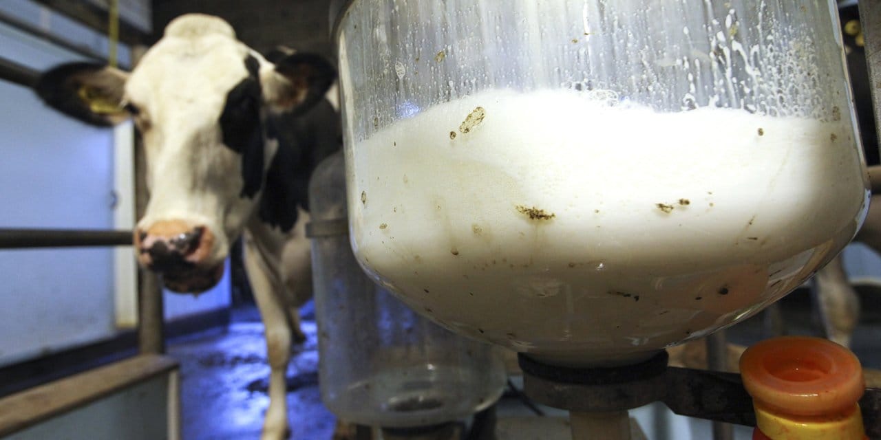 cig sut fiyatlarina zam geldi iki ay sonra yeniden artabilir OiON2Q8A