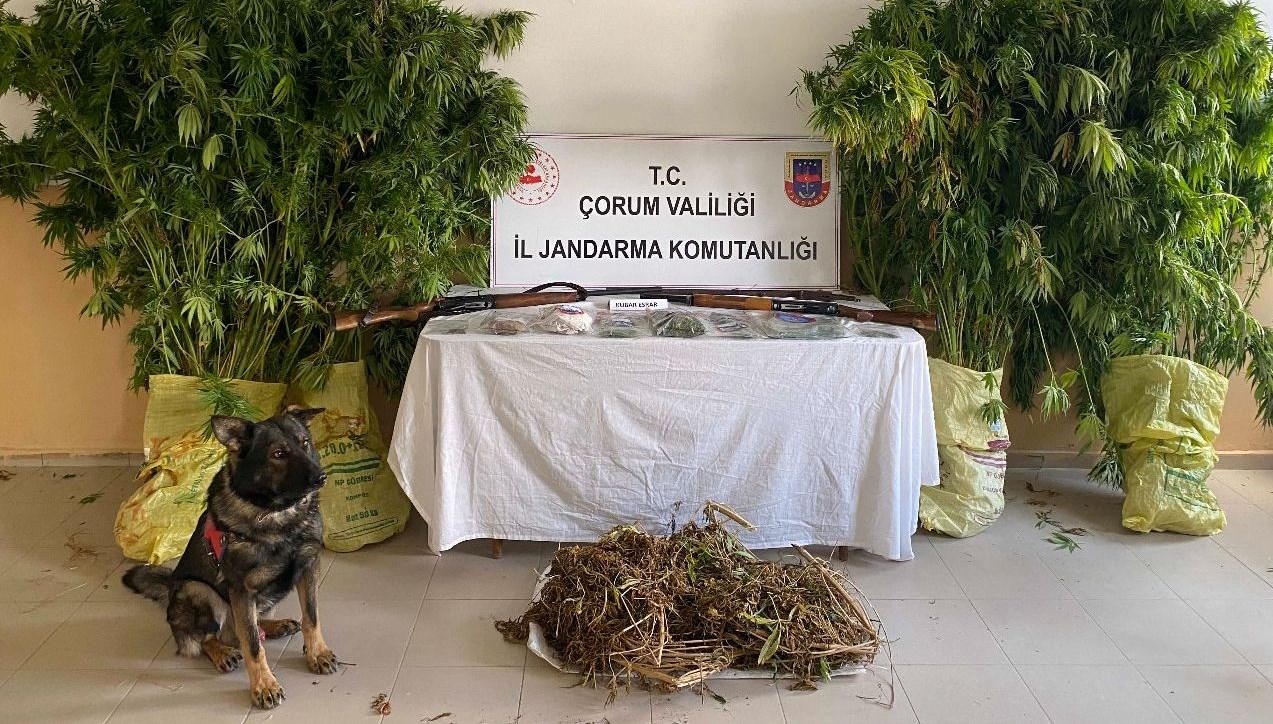 corumda uyusturucu tacirlerine operasyon MFyuTAYi