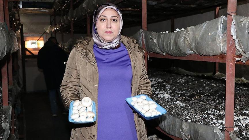 devlet destegiyle kurdugu tesiste 75 ton mantar uretiyor dO3PuQWJ.jpg