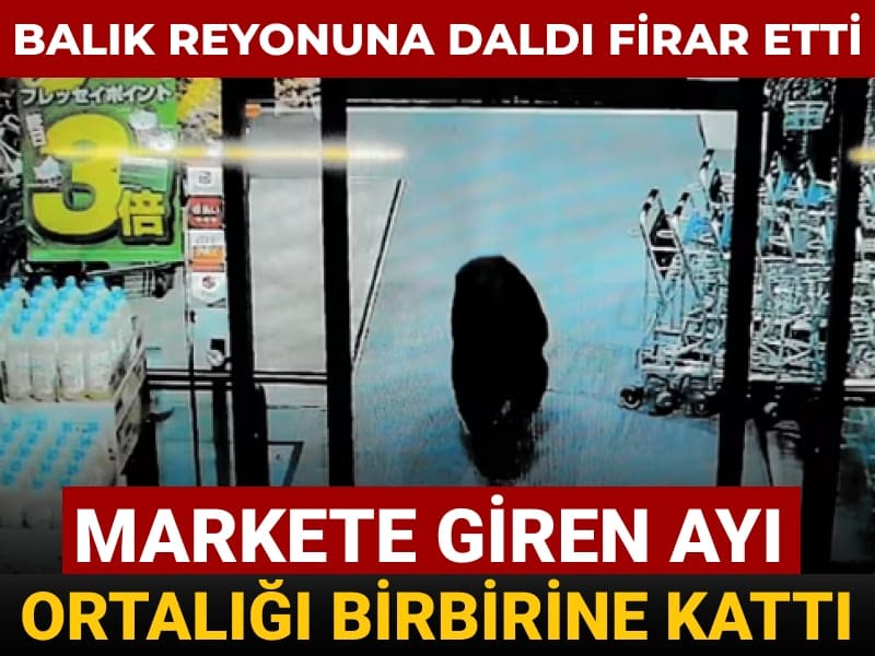 markete giren ayi ortaligi birbirine katti balik reyonuna daldi firar etti 8AzlrN3c
