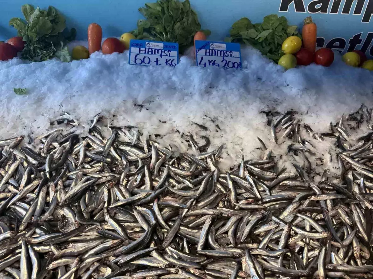 hamsinin fiyati dusmeye devam ediyor a9aUecc3.jpg