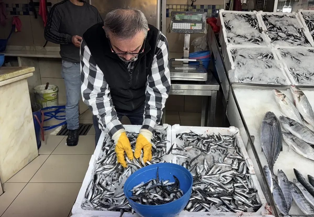 sinopta hamsi fiyatlari dustu f1hmpTY4.jpg